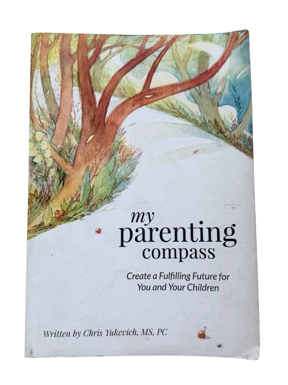 My Parenting Compass by Chris Yukevich